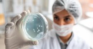 Esta razón ancestral impulsa la resistencia a medicamentos en bacterias y hongos: ¿por qué?