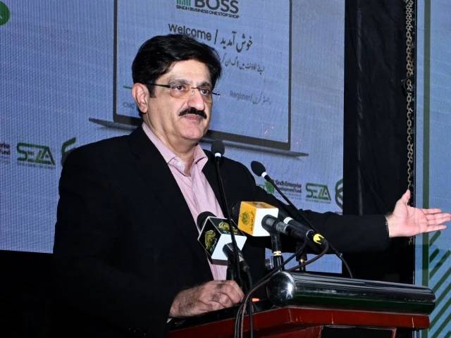 One-click business licences replace red tape in Sindh