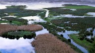 Clamor contra el deslinde de Doñana aprobado por el Gobierno: "Amenaza su futuro y contradice a la ciencia"