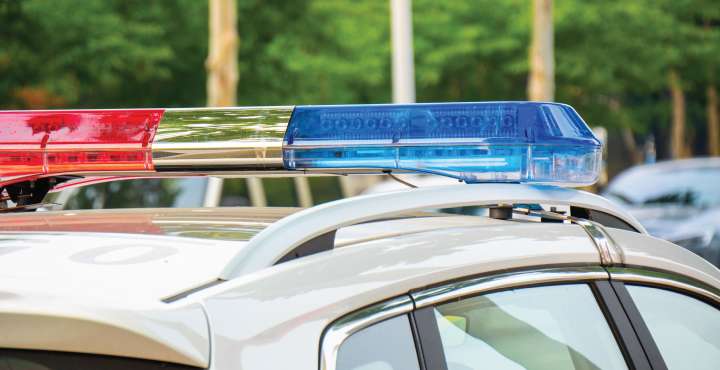 Grandmother ‘Viciously Attacked’ And Killed By Neighbor’s Dogs in Georgia: Sheriff