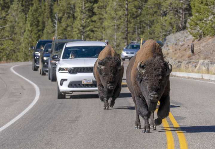 National parks to stay open during shutdown