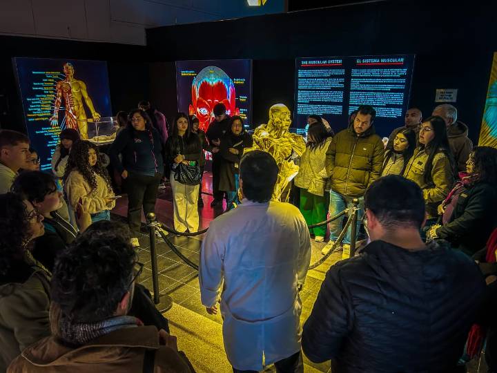 Exposición Bodies Evolution anuncia extensión en Talca hasta el 15 de noviembre