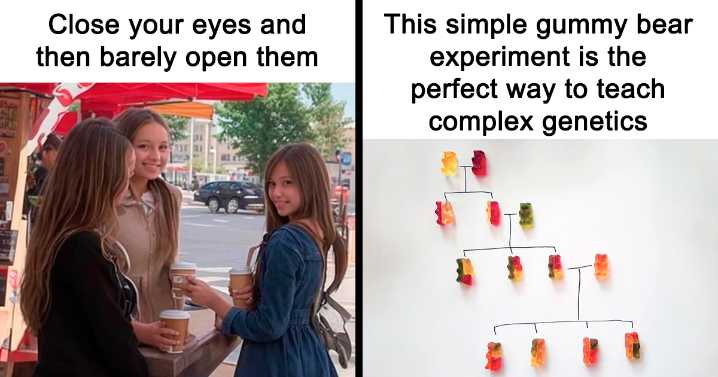 “How Things Work”: 49 Facts And Curiosities More People Should Know About