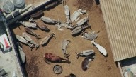 Rescatan a 23 burros y 4 caballos de un camal clandestino en Trujillo: ¿qué pasará con estos animales?
