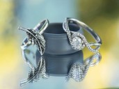 Government clarifies silver jewellery import curbs, exempts SEZ and export