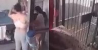 Video en vivo desde prisión en Tijuana causa destitución de director