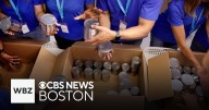 Massachusetts advances $4 million payment to food banks with SNAP benefits due to end
