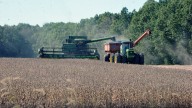 Wisconsin to see record crop yields as farmers struggle under Trump tariffs