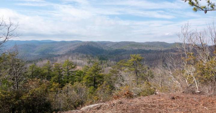 Foothills Conservancy adds ﻿trails program coordinator to expand, maintain public trails