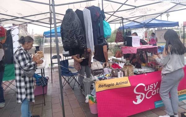 Invitan a sumarse al Croquetón de Otoño