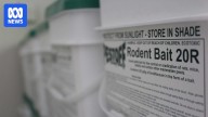 Five suspected rat poison cases detected in South East Queensland