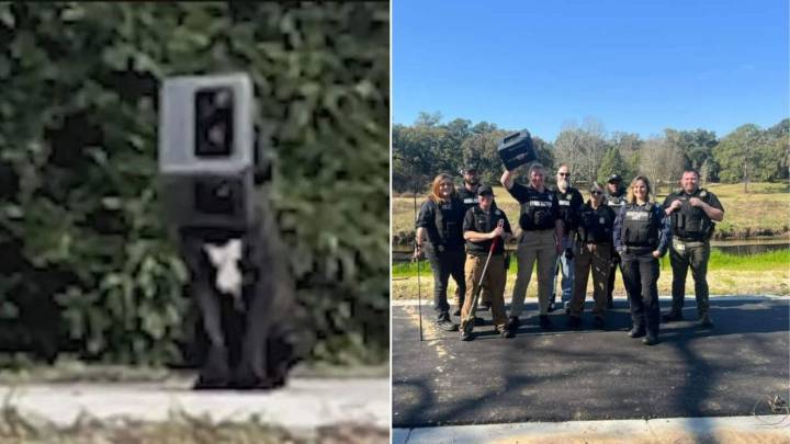 Rescuers Shocked To Find Alabama Dog Survived For A Year With Container Stuck On Head