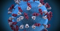 Measles: 5 new cases reported in Ottawa family