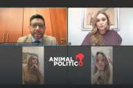 Home office legislativo: Senado amplía posibilidad de trabajo a distancia en reuniones de comisiones