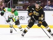 London Knights ride fast start to 6