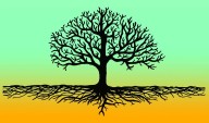 You Can’t Unchop a Tree