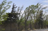 Rige una alerta meteorológica por fuertes vientos para toda la provincia
