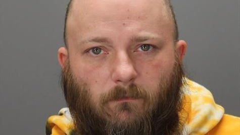 Taylor man sentenced in dog’s hit