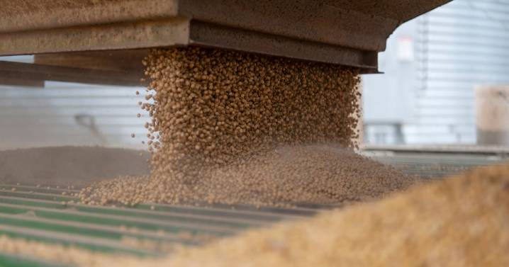 Trump logra su cometido tras reunión con Xi Jinping: Confirma que China comprará soja estadounidense