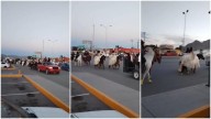 VIDEO: Así captaron a quinceañeras en el R. Almada