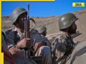 Ex-diplomat's BIG statement on Pak-Afghan border clashes: 'Pakistan played...'