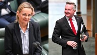 Read Chris Bowen's extraordinary olive branch to Opposition Leader Sussan Ley offering to help the Coalition formulate its net zero position