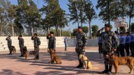 Despidieron con honores a perros policías que ya tienen su nuevo hogar