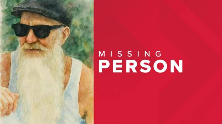 Hamburg Police release AI-generated image in search for missing man
