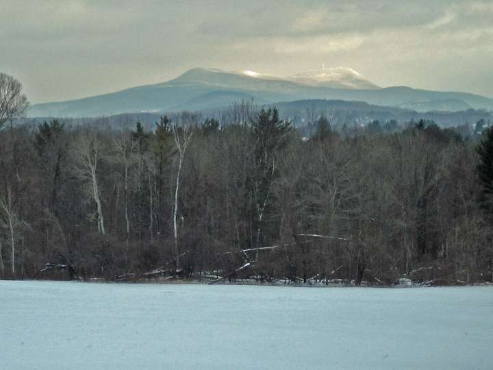 Juvenile fatally shot in Pittsfield