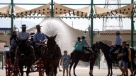 Málaga pone fin a un atractivo turístico histórico: adiós a los paseos en coche de caballos