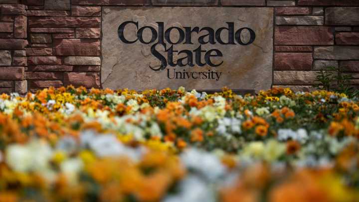CSU stands to lose $352 million in Department of Energy cuts