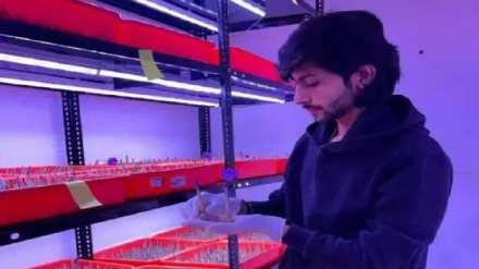 Harsh Manish Patil Cultivates Kashmir-Quality Saffron in Nandurbar, Selling at ₹1,000 Per Gram and Redefining India’s Spice Farming