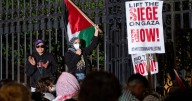 Takeaways from AP's interview with the only protester still locked up after Trump’s campus crackdown