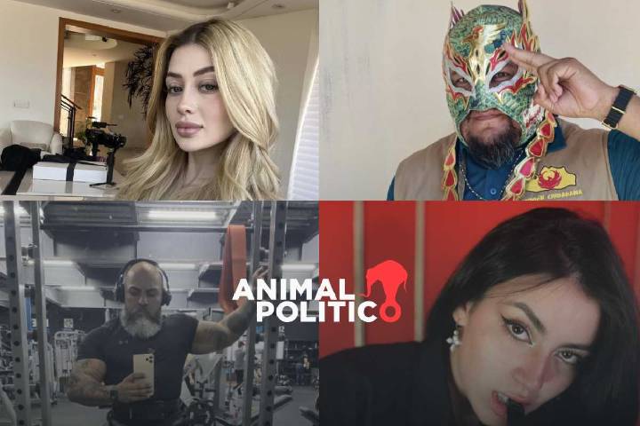 ‘Influencers’, víctimas de violencia; labor informativa y vínculos criminales algunas de las causas