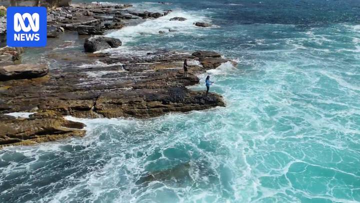 AI tech takes on one of NSW's deadliest rock fishing spots