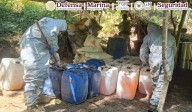 Localizan narcocampamento de Los Chapitos en Sinaloa