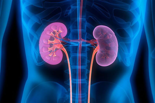 Night shift youth face elevated kidney stone risk: Study shows