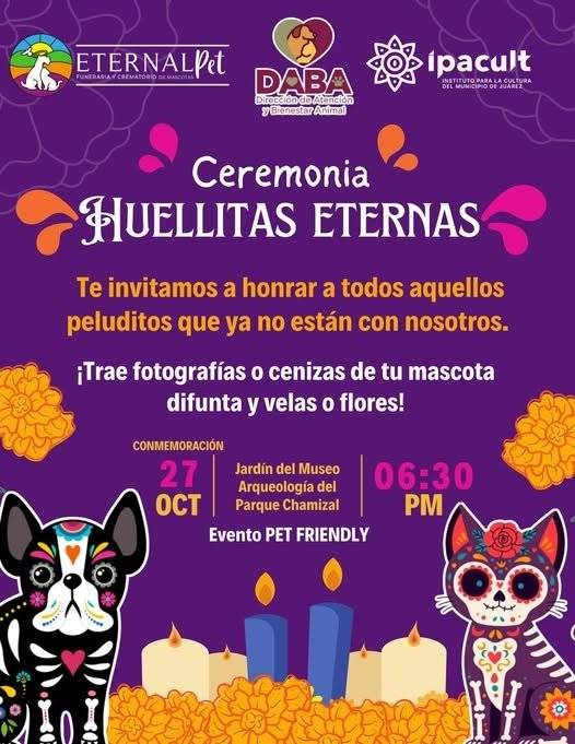 Invita DABA a la ceremonia Huellitas Eternas