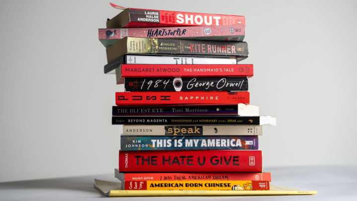 Free speech suit paused in Escambia book removal case