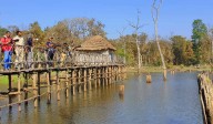 Jungle safari service resumes in Kawal Tiger Reserve; prices go up