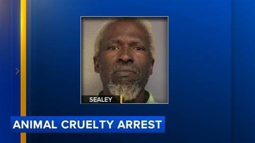 Delaware County man charged with animal neglect; dead dog found and others rescued from porch
