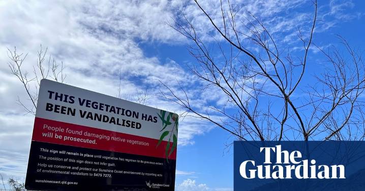 Stolen views, shipping containers and ‘shame signs’: do Australia’s tree wars need a new solution?