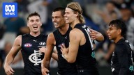 Saints take Blues' Jack Silvagni and Tom De Koning as AFL free agency period begins