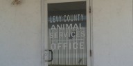 Levy County Animal Services leaders plan to propose new facility