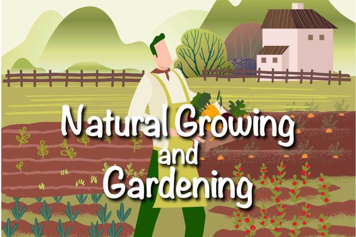 Natural Growing: Hunters in the woods