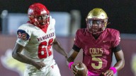 Terrance Lewis, Matthew Dial shine in lopsided quarterback battle