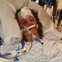 Moscow Police complete investigation into Greek Row fight