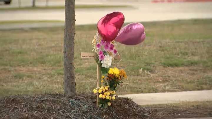 Sachse residents plead for traffic change after fatal hit