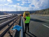 ¿Cómo llegó un Emú a una carretera de Canarias? La Policía investiga lo sucedido