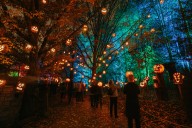 The Twin Cities' best Halloween events for the whole family